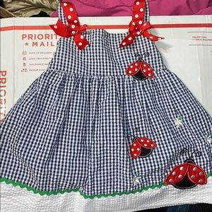 Rare Edition Ladybug dress with matching undies🐞